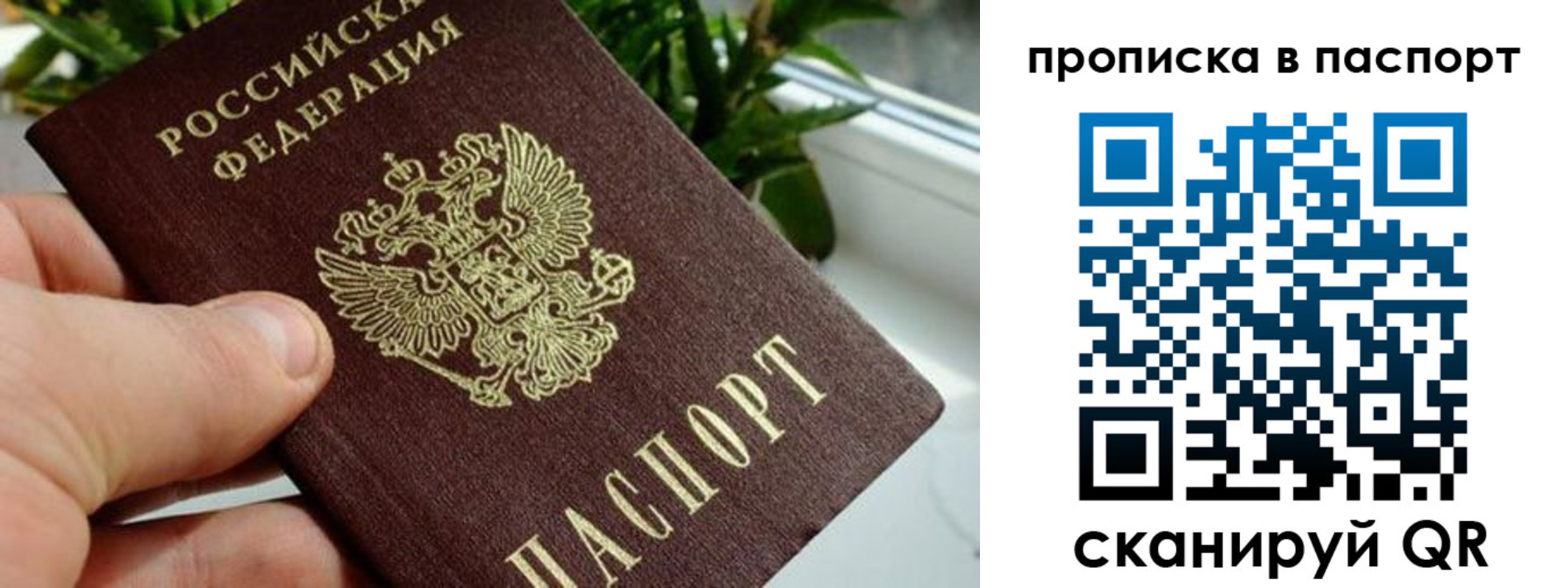 пропишу в квартире в Свободном